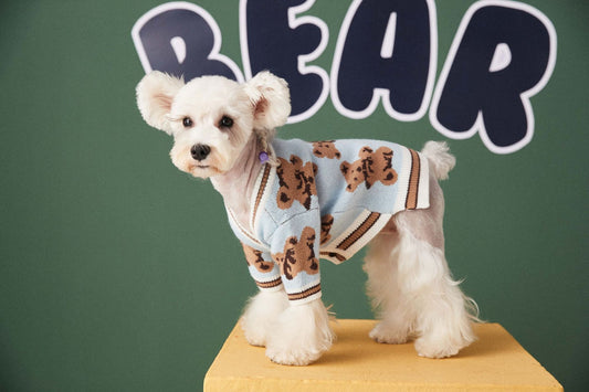 Preppy Pet Sweater – Warm V-Neck Striped Style - EzPets Shop