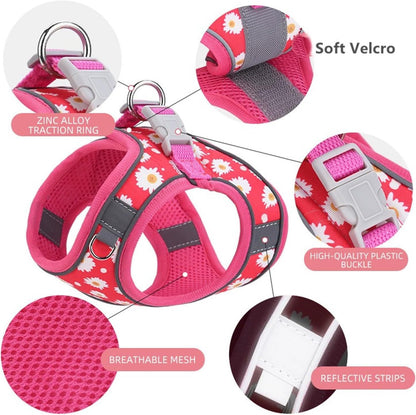 No-Pull Dog Harness with Leash - EzPets Shop