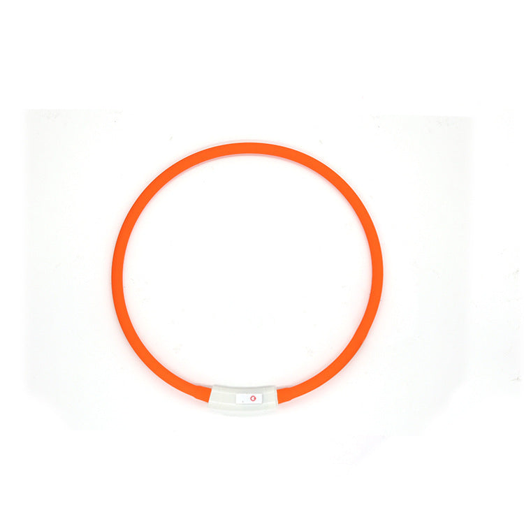 Fashion LED Dog Collar – Light Up in Style - EzPets Shop