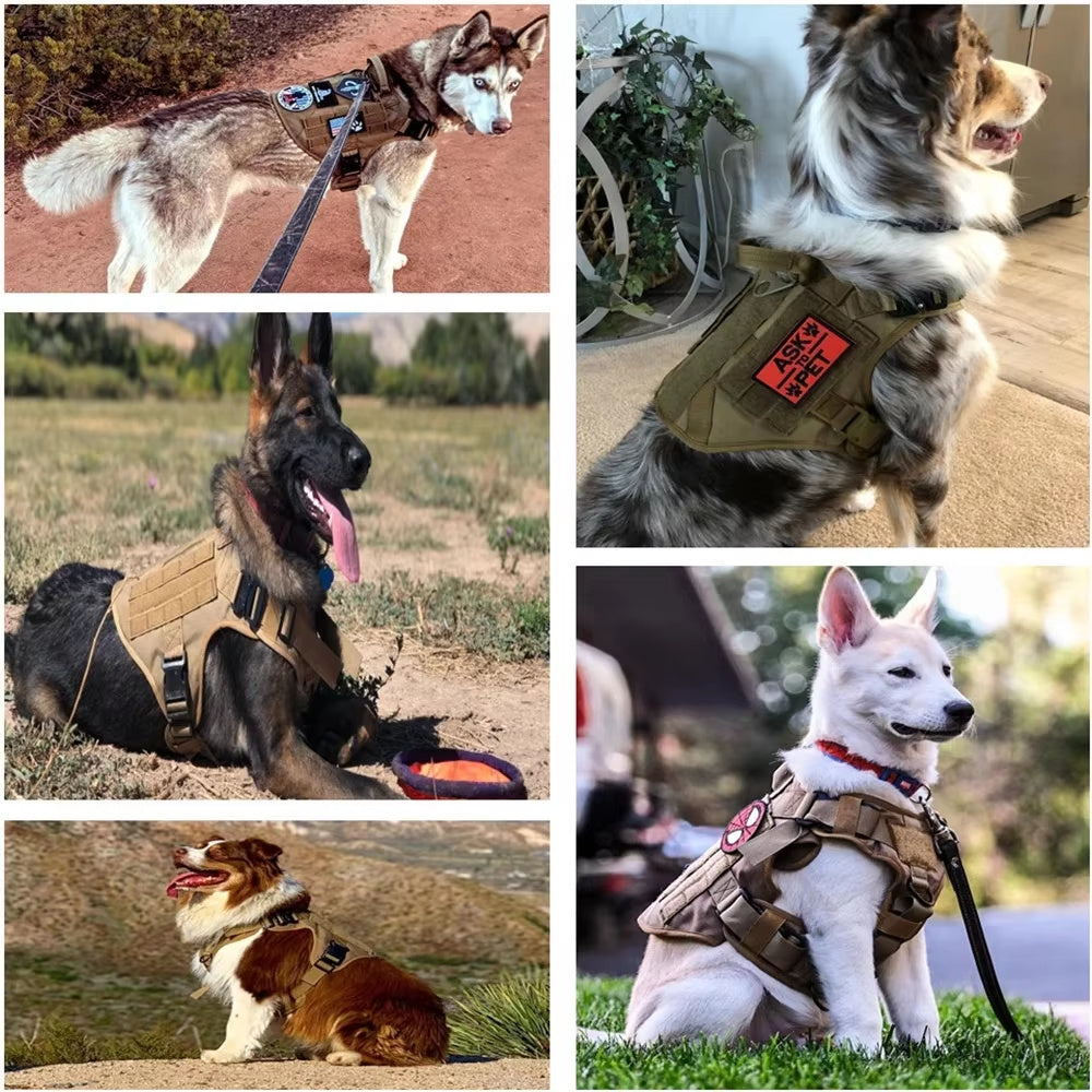 Camouflage Nylon Dog Harness Set - EzPets Shop