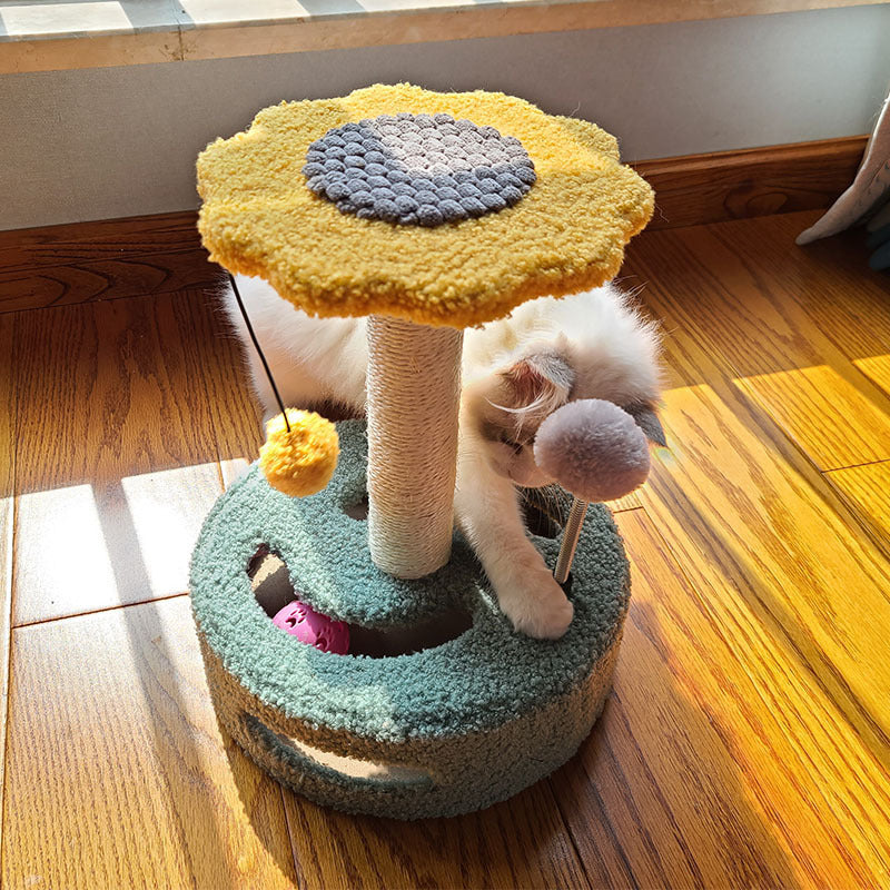 Cat Scratch Board – Claw Care Meets Playtime