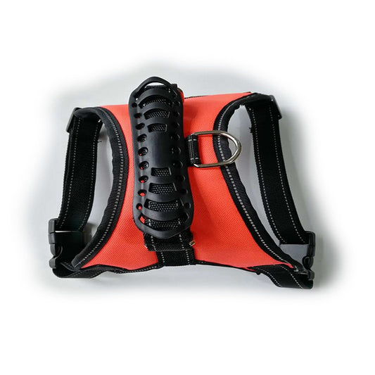 Everyday Pet Leash – Strong, Simple, Stylish - EzPets Shop