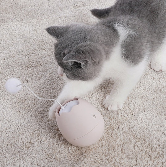 Funny Cat Toy – Pure Feline Entertainment - EzPets Shop