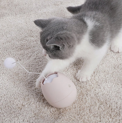 Funny Cat Toy – Pure Feline Entertainment - EzPets Shop