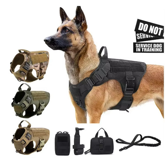 Camouflage Nylon Dog Harness Set - EzPets Shop