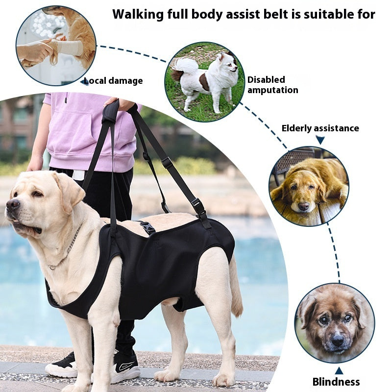Support Strap – Help Injured Dogs Walk with Ease - EzPets Shop