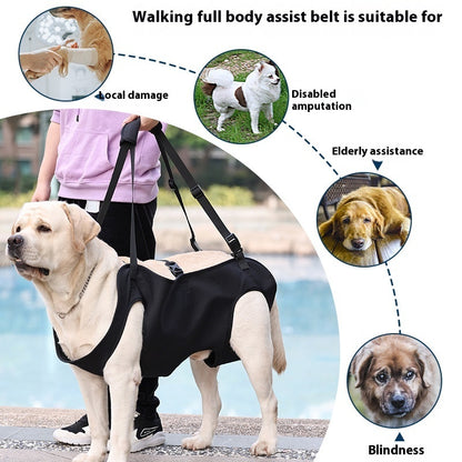 Support Strap – Help Injured Dogs Walk with Ease - EzPets Shop