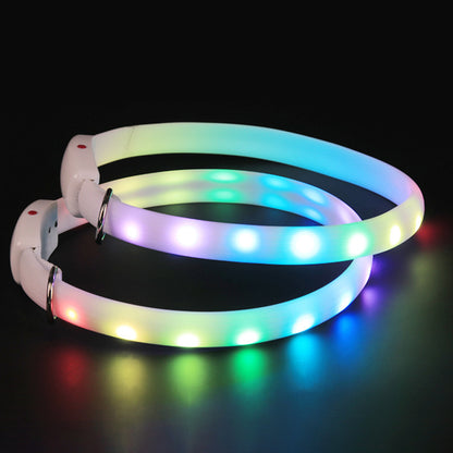 LED Dog Collar – Night Walk Safety & Style - EzPets Shop