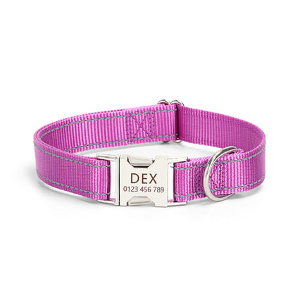 Reflective Nylon Dog Collar – Safe Walks, Day & Night - EzPets Shop