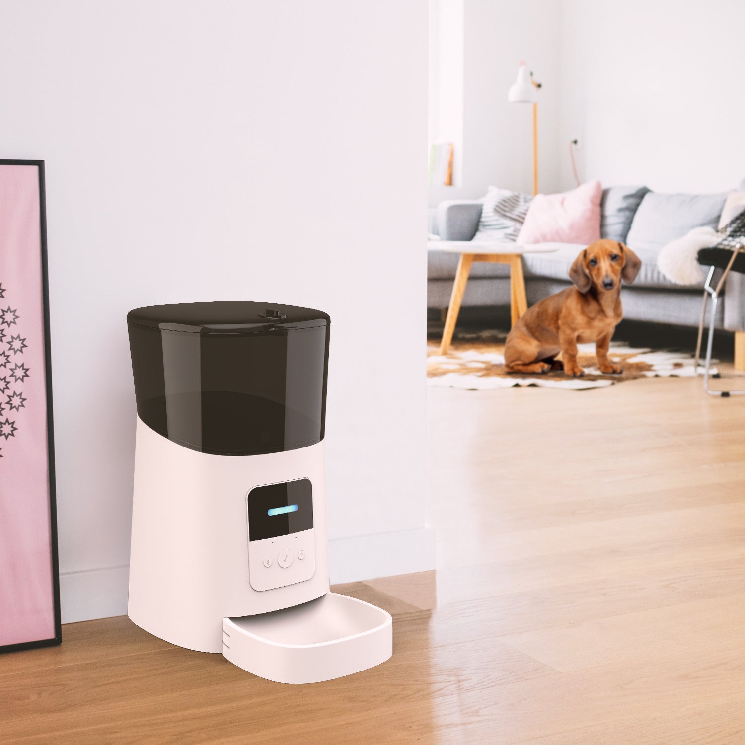 Easy-Use Auto Feeder – Fresh Food on Time - EzPets Shop