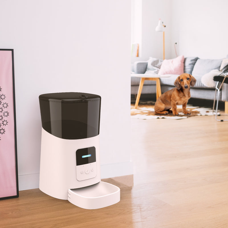 Easy-Use Auto Feeder – Fresh Food on Time