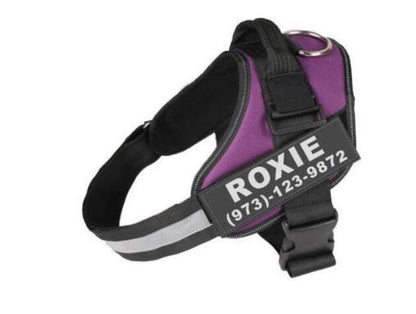 Custom Reflective No-Pull Dog Harness - EzPets Shop
