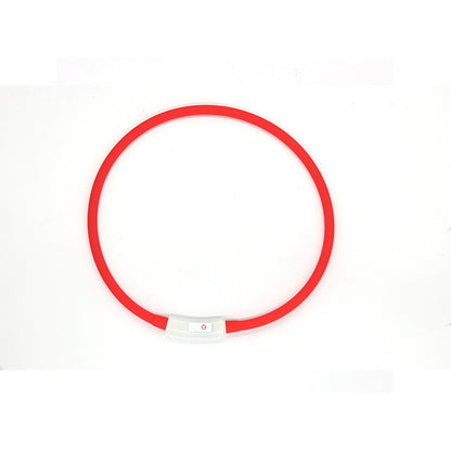 Fashion LED Dog Collar – Light Up in Style - EzPets Shop