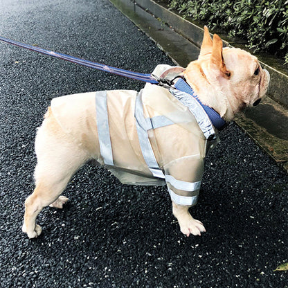 Reflective Dog Raincoat – Clear & Cute - EzPets Shop