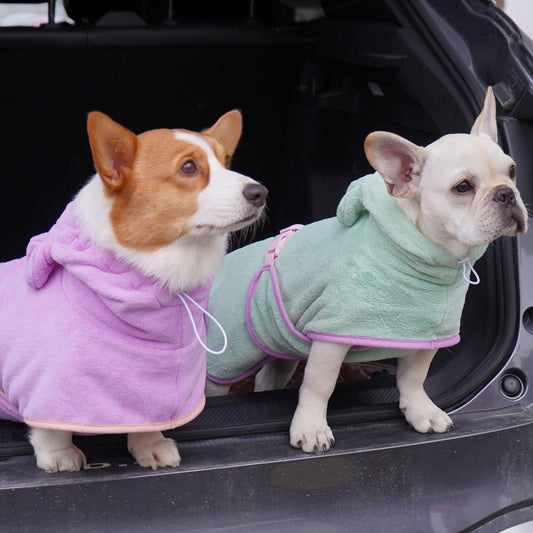Dog Bath Towel – Wrap Your Pup in Comfort - EzPets Shop
