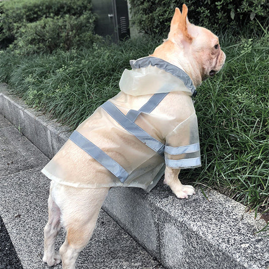 Reflective Dog Raincoat – Clear & Cute - EzPets Shop