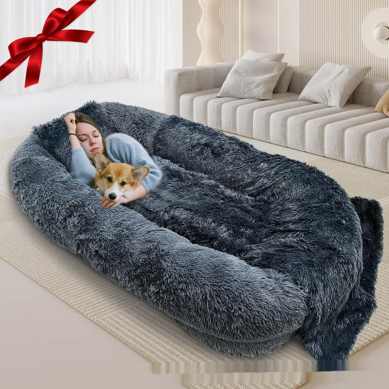 Cozy Queen Bed Sofa – Snuggle with Your Pup