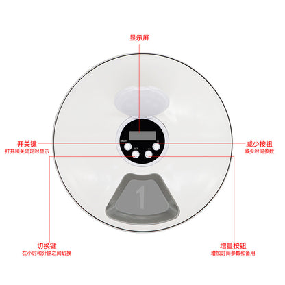 Auto Timer Feeder – Feed with Precision - EzPets Shop