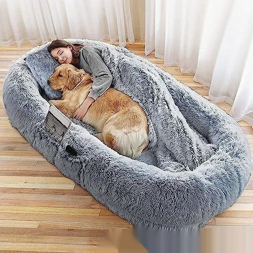 Cozy Queen Bed Sofa – Snuggle with Your Pup - EzPets Shop