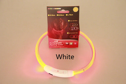 USB Rechargeable Pet Collar – Flashing Night Light - EzPets Shop
