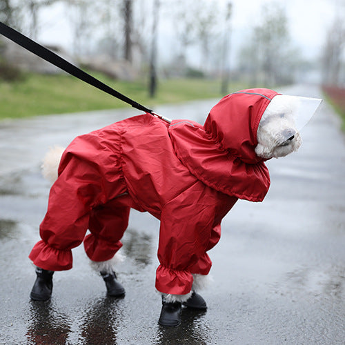 Teddy’s Rain Suit – Waterproof & Adorable - EzPets Shop