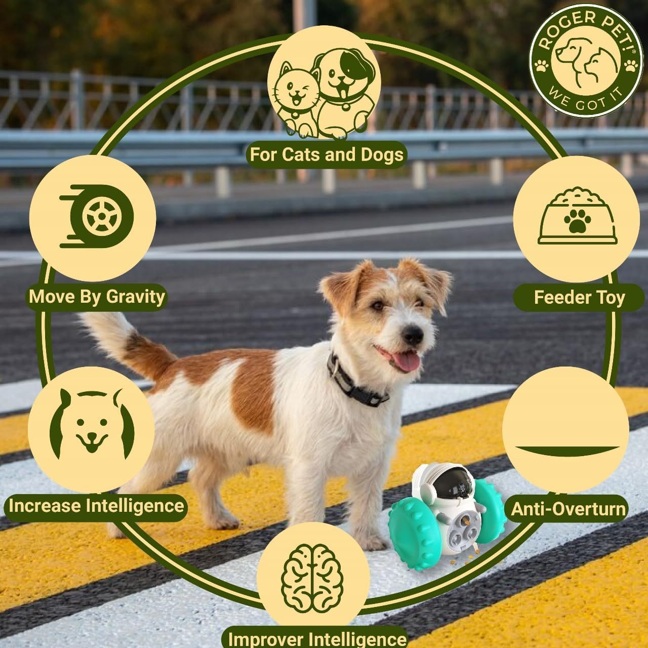 Small Dog Treat Toy – Fun Dispenser & Feeder - EzPets Shop