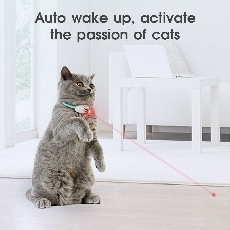 USB Laser Cat Collar – Smart Play for Active Kittens - EzPets Shop