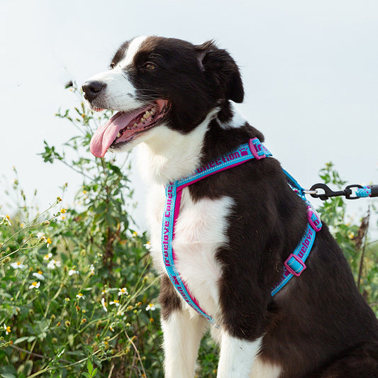 Tactical Reflective Dog Harness - EzPets Shop