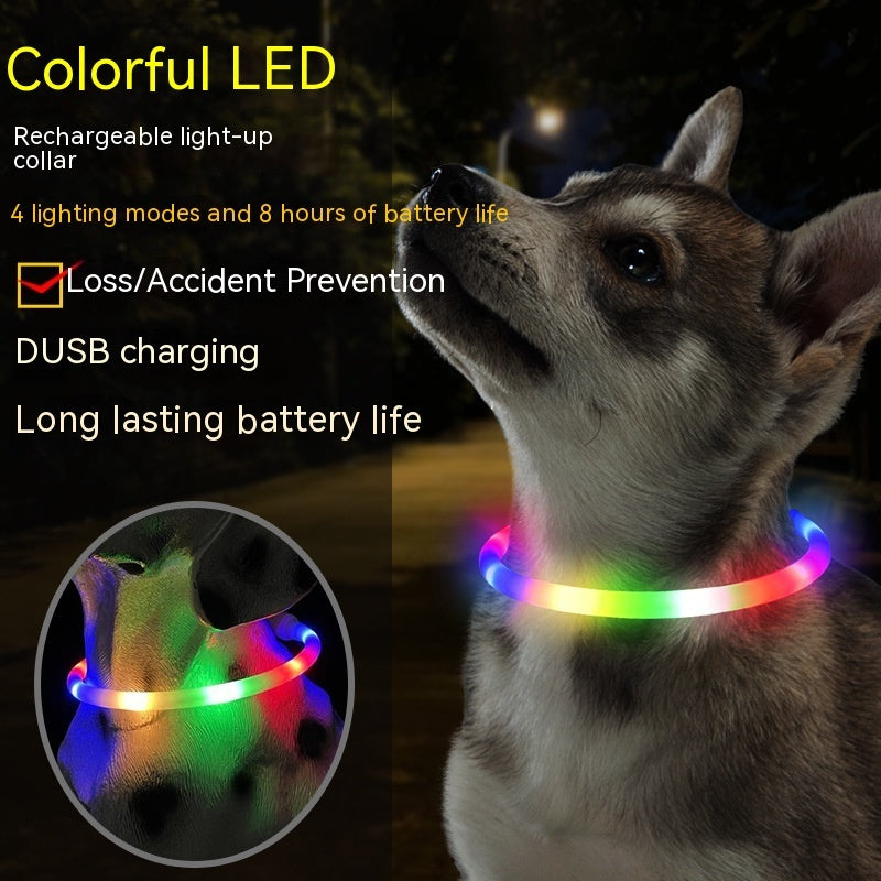 Fashion LED Dog Collar – Light Up in Style - EzPets Shop