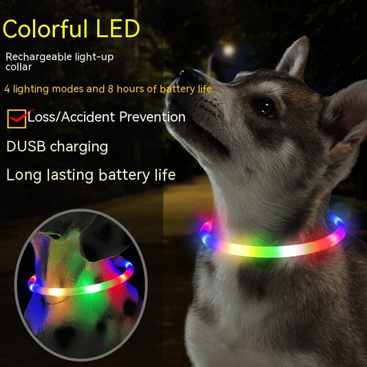 Fashion LED Dog Collar – Light Up in Style - EzPets Shop