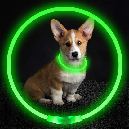 USB Rechargeable Pet Collar – Flashing Night Light - EzPets Shop