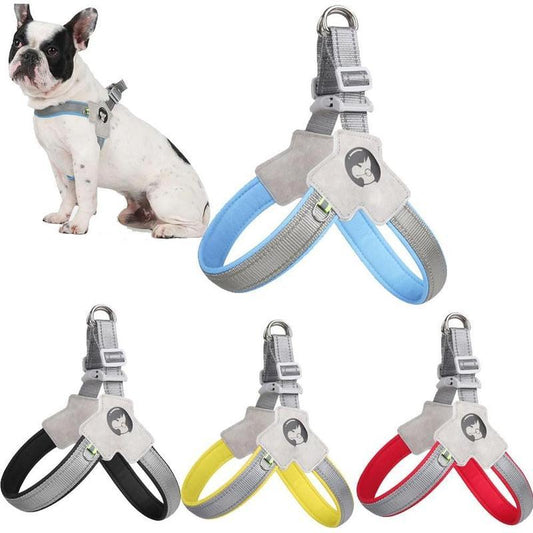 Adjustable Dog & Cat Harness Set - EzPets Shop
