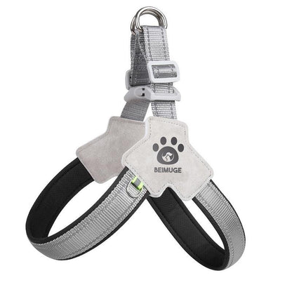 Adjustable Dog & Cat Harness Set - EzPets Shop