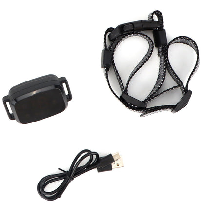 Waterproof Trainer Collar – Rechargeable & Reliable - EzPets Shop