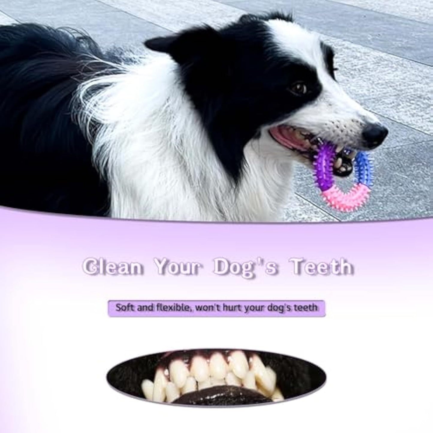 Rubber Chew Ring – Teething Relief for All Dogs - EzPets Shop