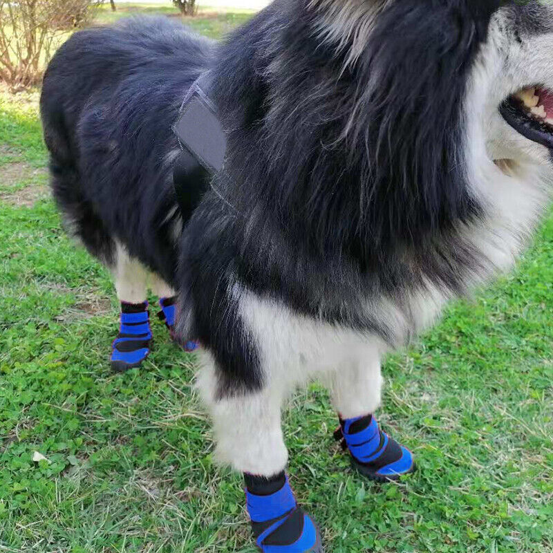 4-Pack Pet Boots – Waterproof & Paw-Protective - EzPets Shop