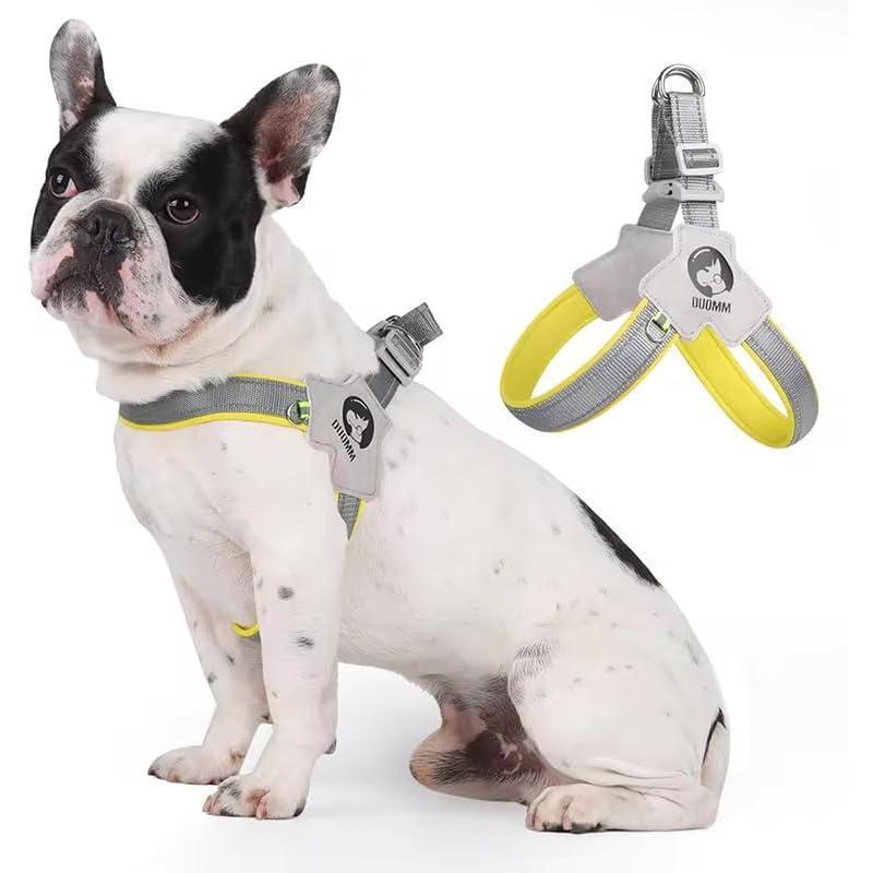 Adjustable Dog & Cat Harness Set - EzPets Shop