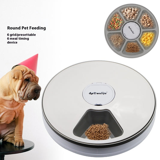 Auto Timer Feeder – Feed with Precision - EzPets Shop