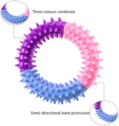 Rubber Chew Ring – Teething Relief for All Dogs - EzPets Shop