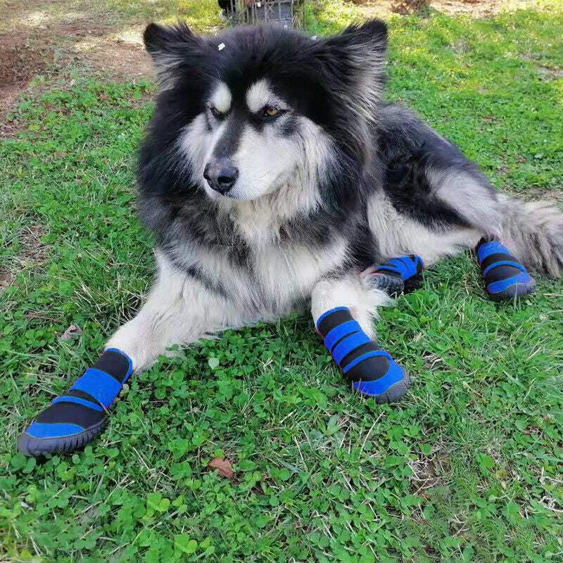 4-Pack Pet Boots – Waterproof & Paw-Protective - EzPets Shop