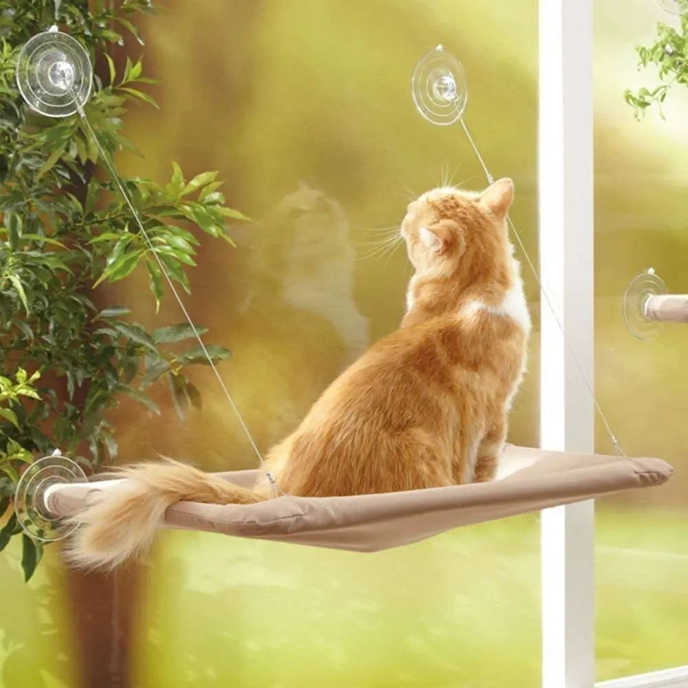 Trendy Cat Hammock – Lounge in Style - EzPets Shop