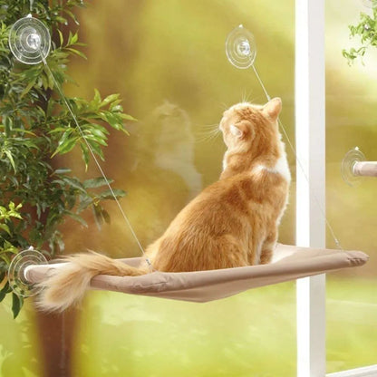 Trendy Cat Hammock – Lounge in Style - EzPets Shop