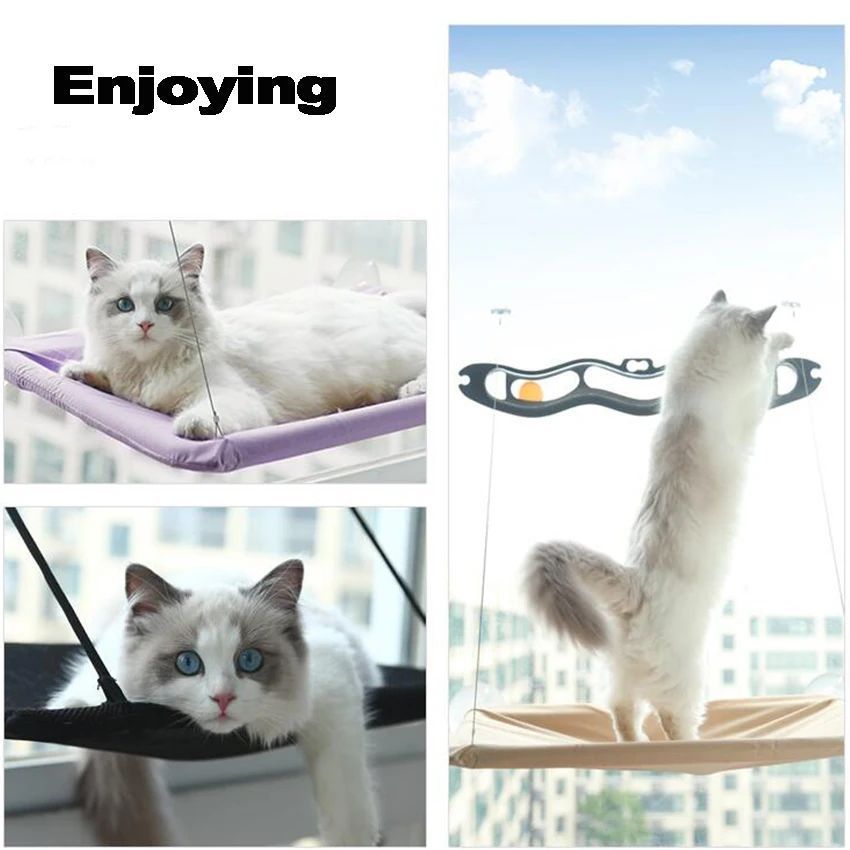 Trendy Cat Hammock – Lounge in Style - EzPets Shop