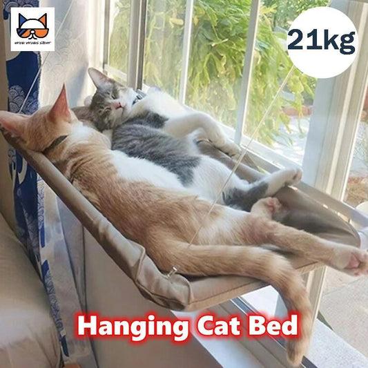 Trendy Cat Hammock – Lounge in Style - EzPets Shop