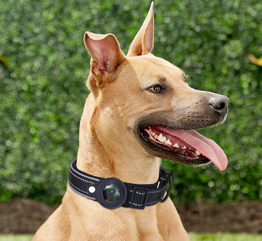 Adjustable Dog Collar – Perfect Fit Every Time - EzPets Shop