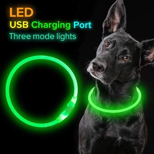 USB Rechargeable Pet Collar – Flashing Night Light - EzPets Shop