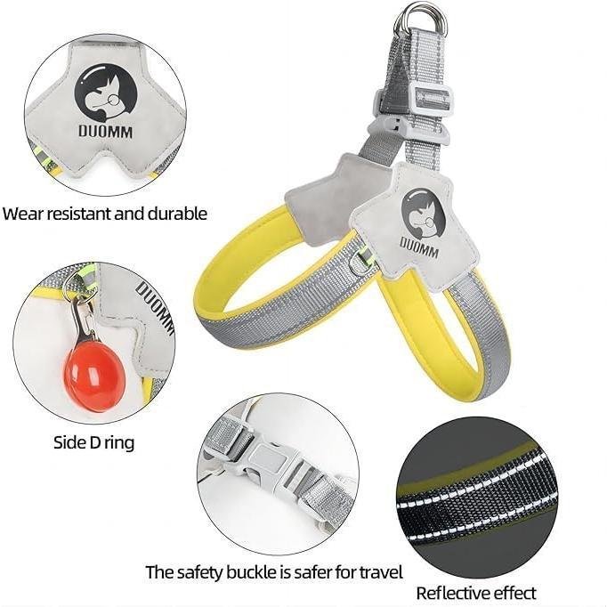 Adjustable Dog & Cat Harness Set - EzPets Shop