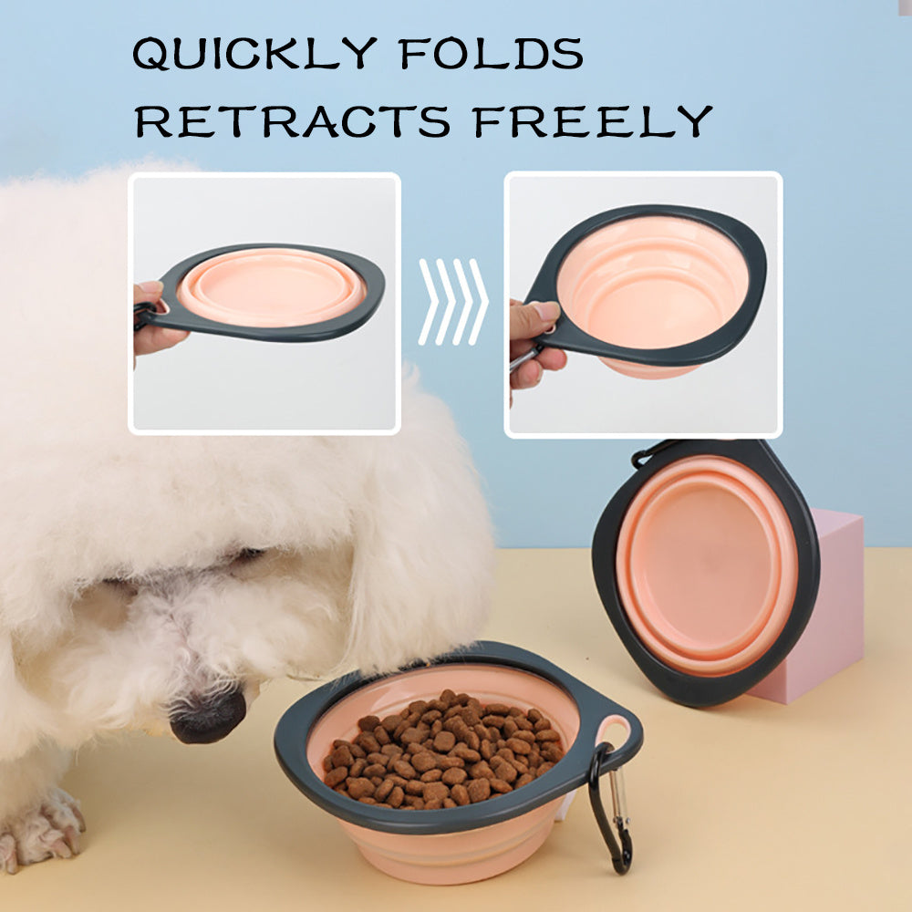 Collapsible Pet Bowl – Easy Feeding on the Go - EzPets Shop