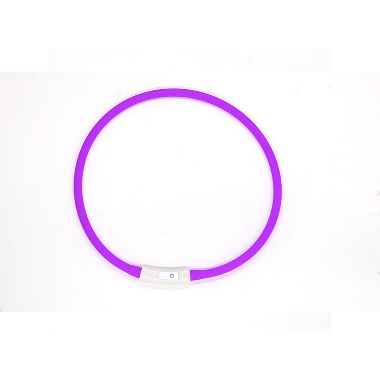 Fashion LED Dog Collar – Light Up in Style - EzPets Shop