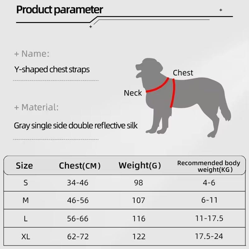 Adjustable Dog & Cat Harness Set - EzPets Shop